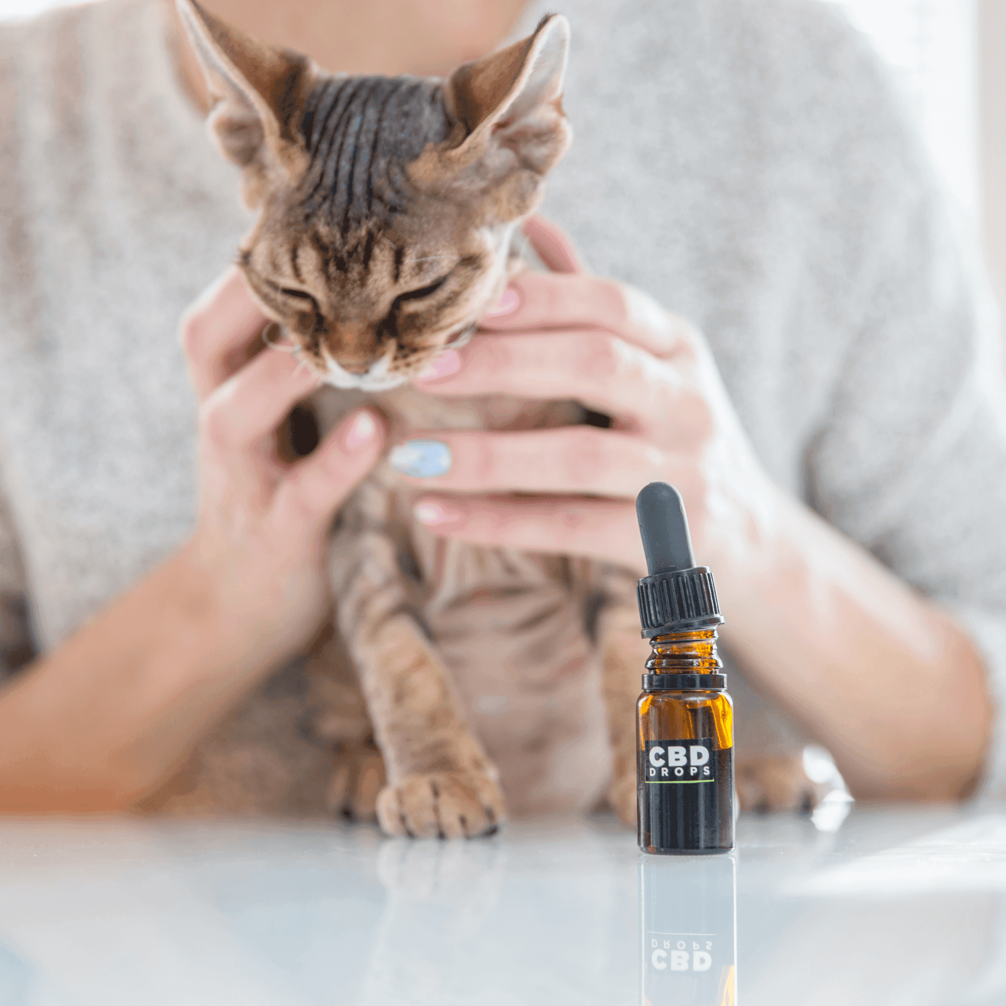 La Otra María-CBD, es una tienda de CBD de Barcelona especializada en cáñamo y cannabis medicinal y sus derivados, especializada en CBD para Animales.