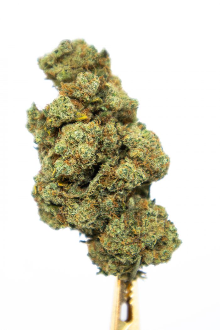 Biomasa de cáñamo SEX ON THE BEACH 17% CBD Hidropónica - Imagen 2