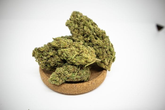 Biomasa de cáñamo SEX ON THE BEACH 17% CBD Hidropónica - Imagen 3