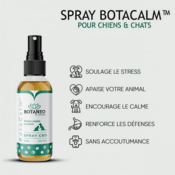 Botaneo Spray CBD informacion Aceite de CBD en Spray para Perros de Botaneo - Imagen 1