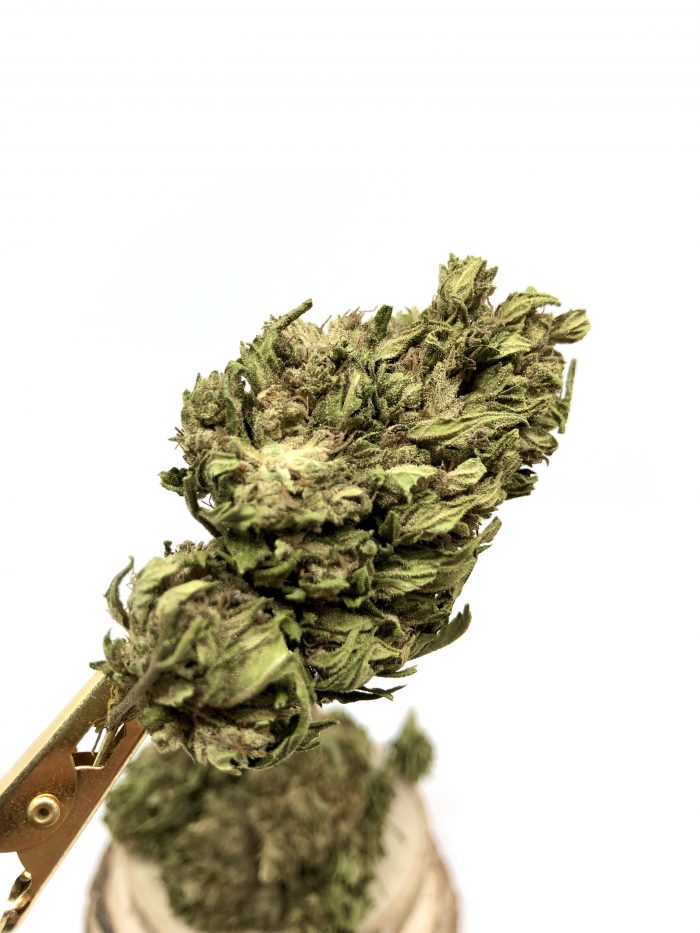 Biomasa de cáñamo CBG HAZE 10% CBG - Alivio de todo tipo de dolor - Imagen 3