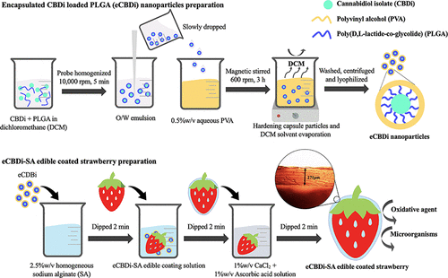 Estudio fresas y cbd