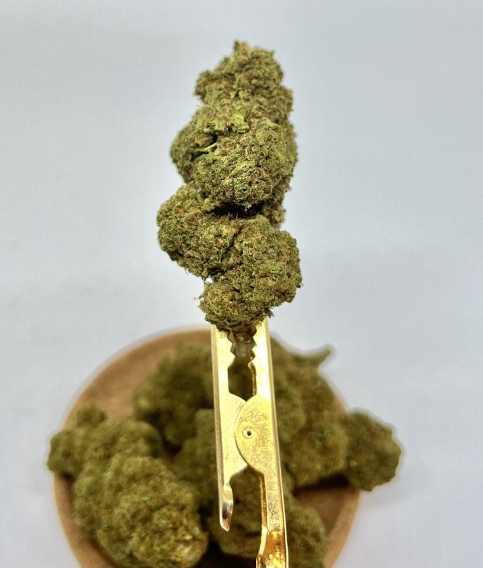 Biomasa de cáñamo JUICY CARAMEL 16% CBD - Dolor y ansiedad medio - Imagen 3