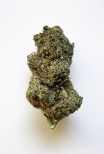 Biomasa de cáñamo WATERMELON 25% CBD Hidropónica - Imagen 3