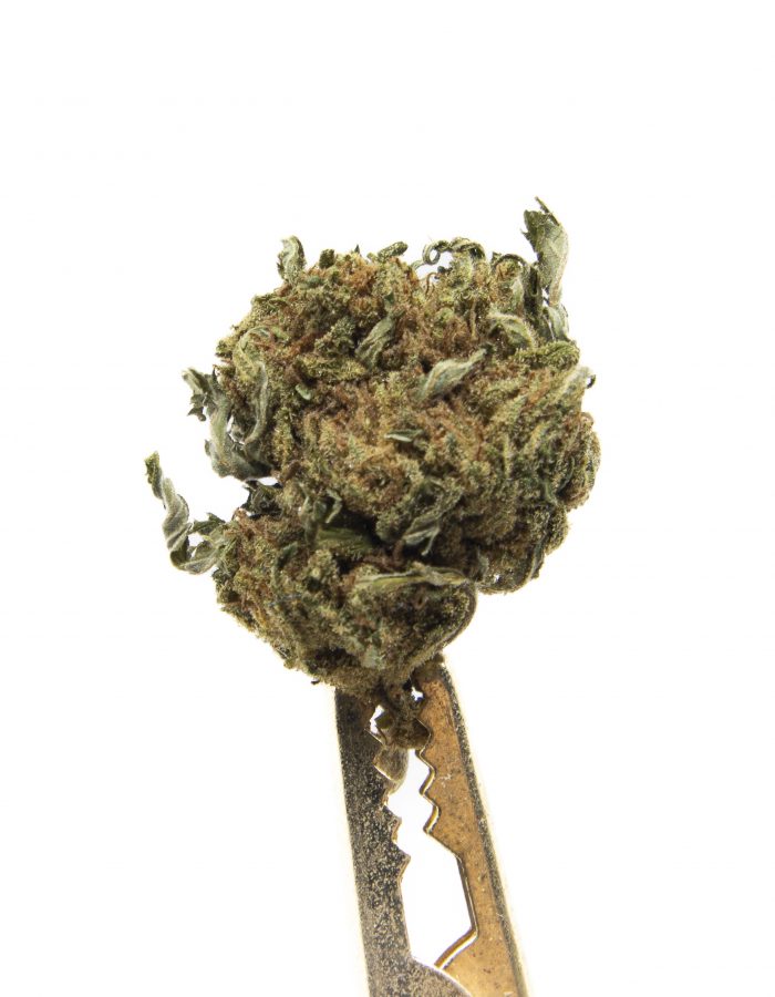 Biomasa de cáñamo AMNESIA 10% CBD Indoor - Imagen 2