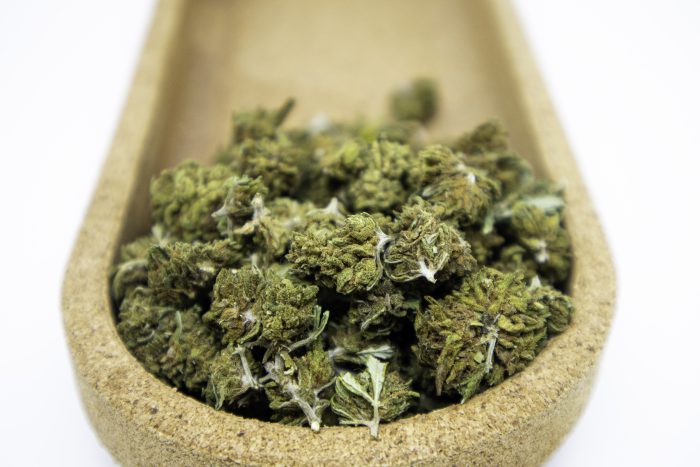 Biomasa de cáñamo GELATO 15% CBD Greenhouse - Imagen 2