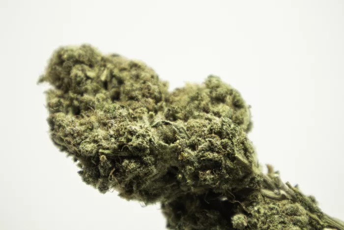 Biomasa de cáñamo NORTHERN LIGHTS 16% CBD - Insomnio, estrés y ansiedad medios - Imagen 3