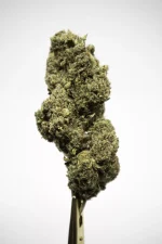 Biomasa de cáñamo NORTHERN LIGHTS 16% CBD - Insomnio, estrés y ansiedad medios - Imagen 2