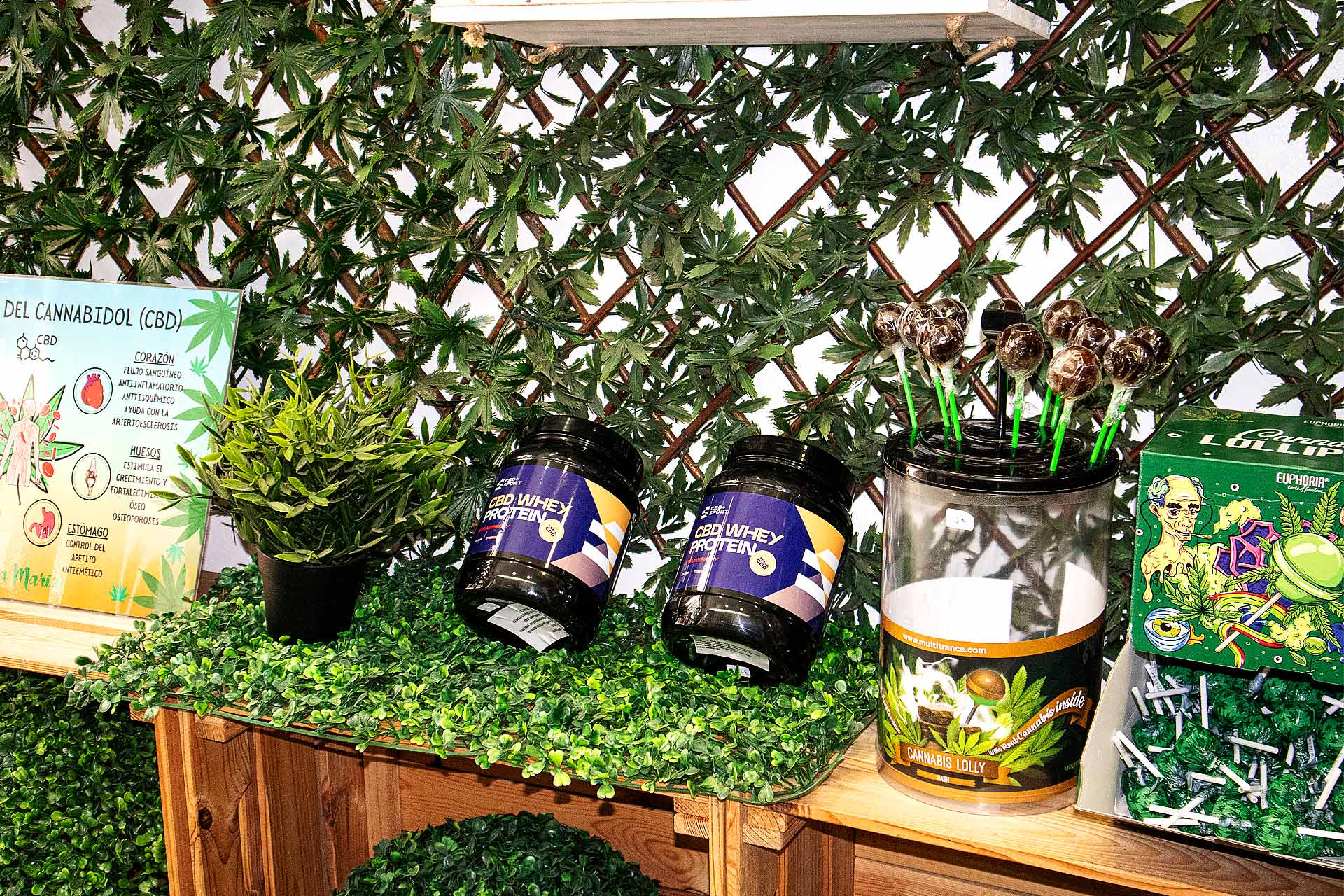 La Otra María-Tienda de CBD-Santa Coloma de Gramenet-Barcelona