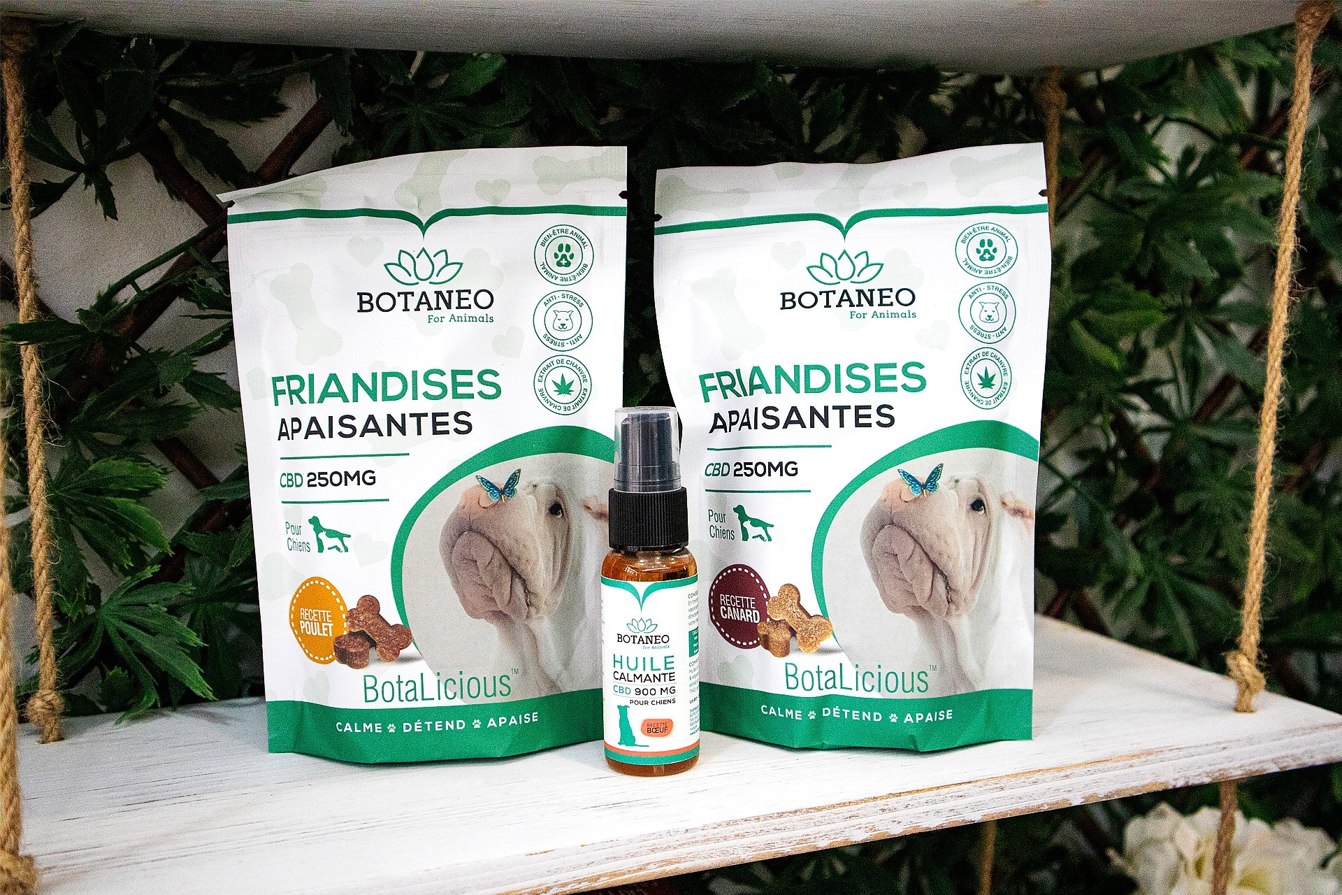 La Otra María-Tienda de CBD-CBD para Animales-Santa Coloma de Gramenet-Barcelona