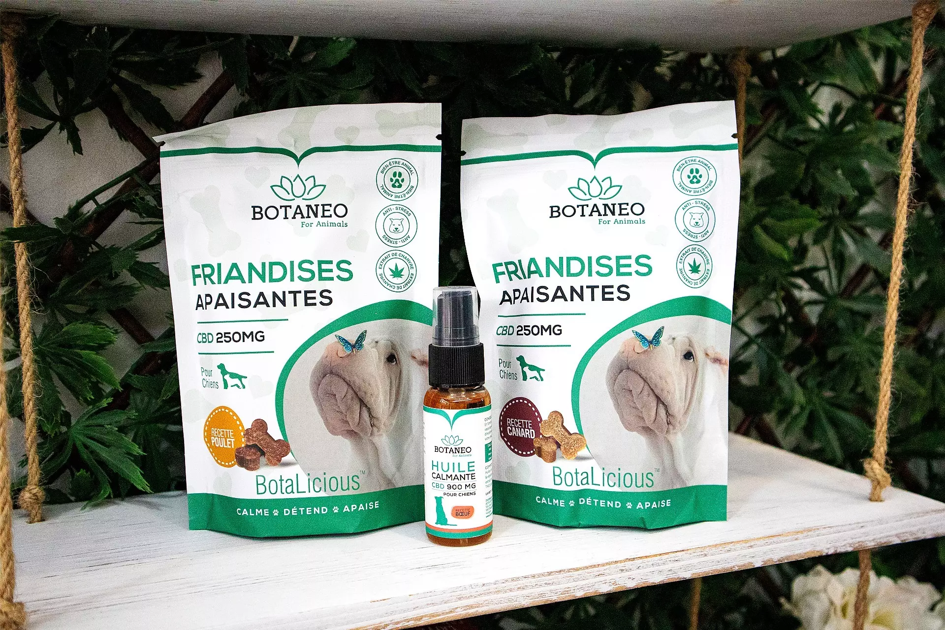 La Otra María-Tienda de CBD-CBD para Animales-Santa Coloma de Gramenet-Barcelona