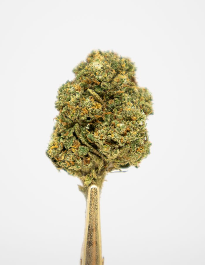 Biomasa de cáñamo BLUEBERRY 16% CBD Indoor - Imagen 2