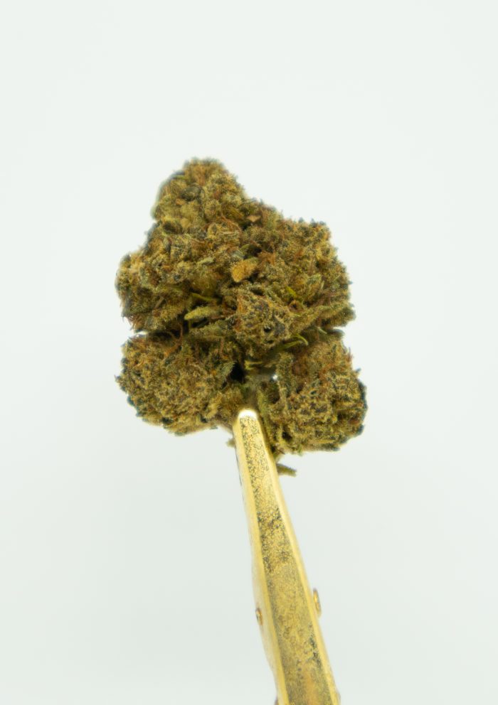 Biomasa de cáñamo LIMONCELLO 13% CBD Greenhouse Small Buds - Imagen 2