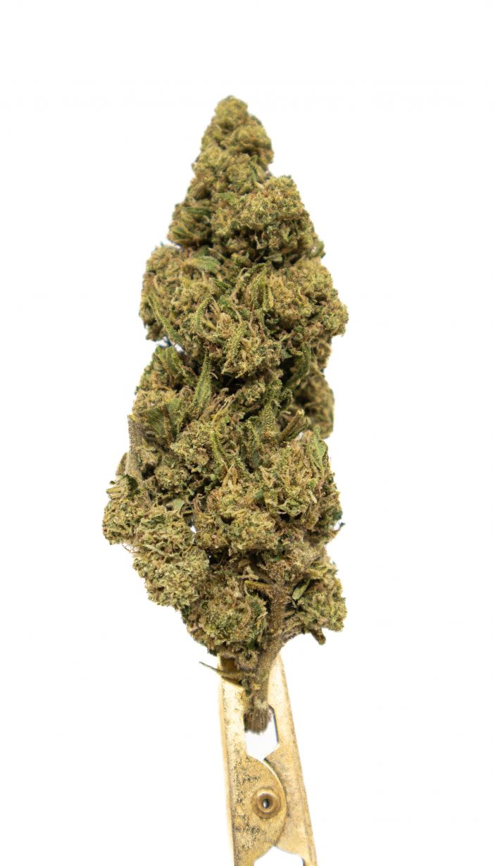 Biomasa de cáñamo RAINBOW CHIP 14% CBD - Dolor y ansiedad medios - Imagen 2