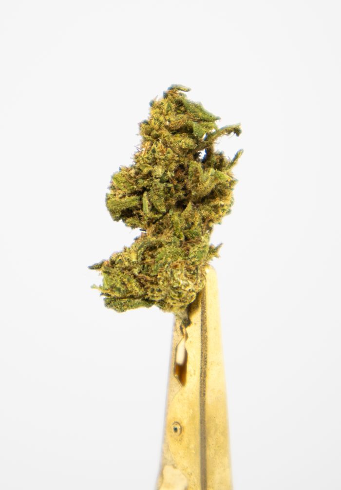 Biomasa de cáñamo WHITE MELON 11% CBD Greenhouse Small Buds - Imagen 2