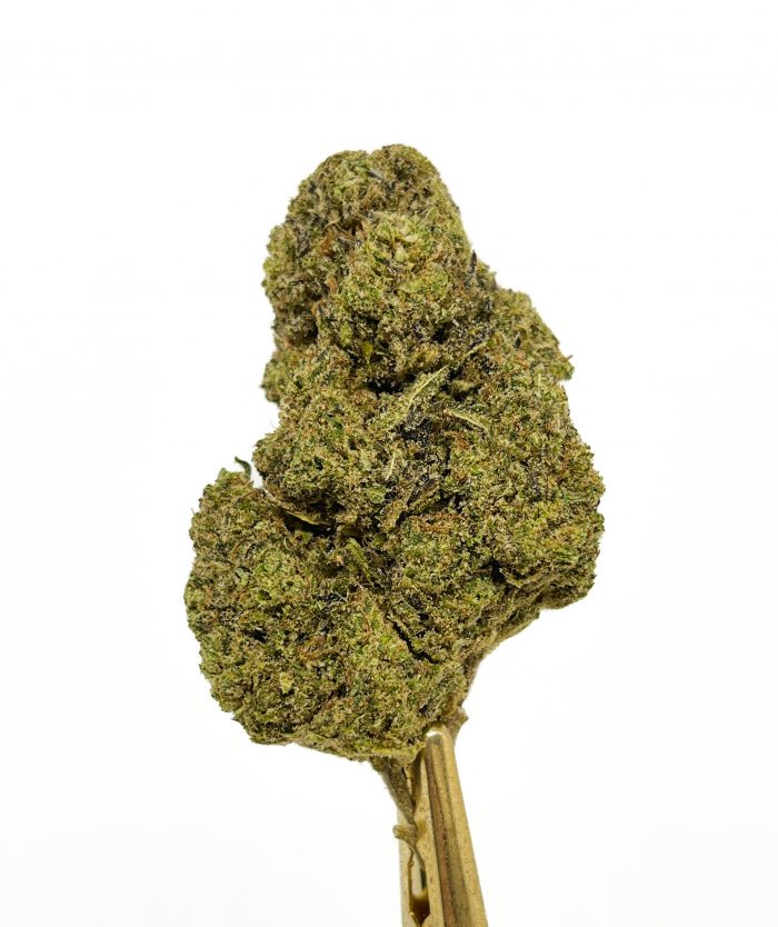 Biomasa de cáñamo MAC 11 16% CBD Hidropónica - Imagen 2