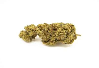 flor de cañamo variedad lemon haze.