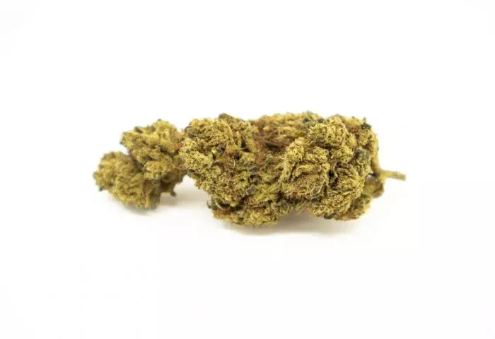 flor de cañamo variedad lemon haze.